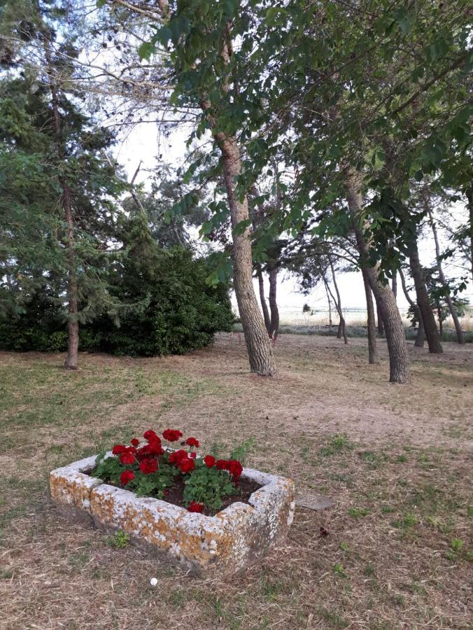 Villa Il Casale Falagario Stacca à Altamura Extérieur photo