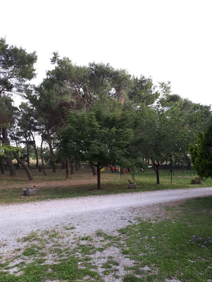 Villa Il Casale Falagario Stacca à Altamura Extérieur photo