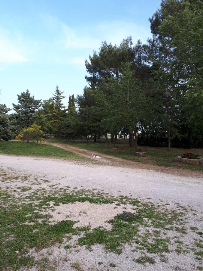 Villa Il Casale Falagario Stacca à Altamura Extérieur photo